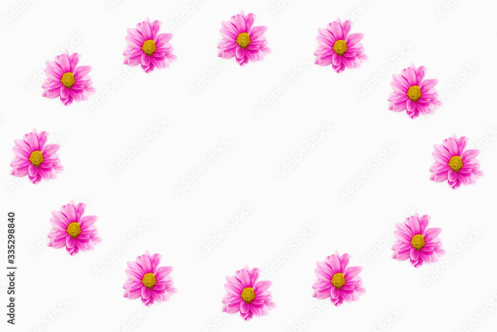 decorative collage frame of pink chrysanthemum flowers decorative collage frame of pink chrysanthemum flowers
