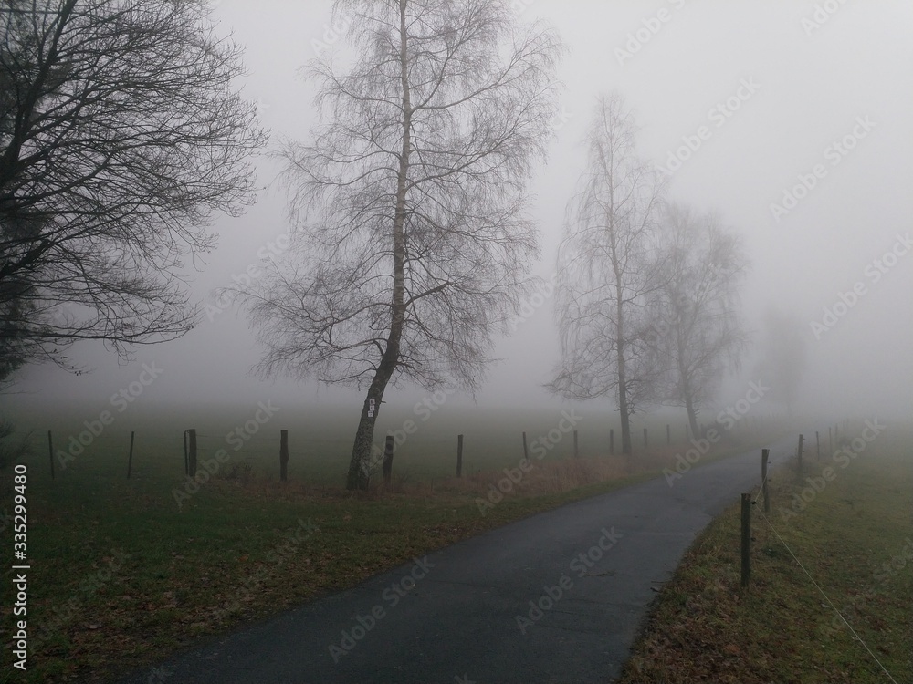 Obraz premium Spessart-Herbst