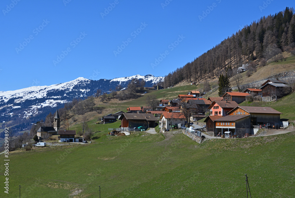 Das Dorf Scheid im Domleschg, Dorfteil Purz, Kanton Graubünden