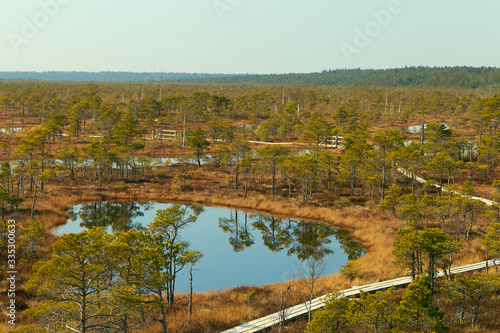 eco trail wooden platform with bridges among the swamp wagging around trees and lakes