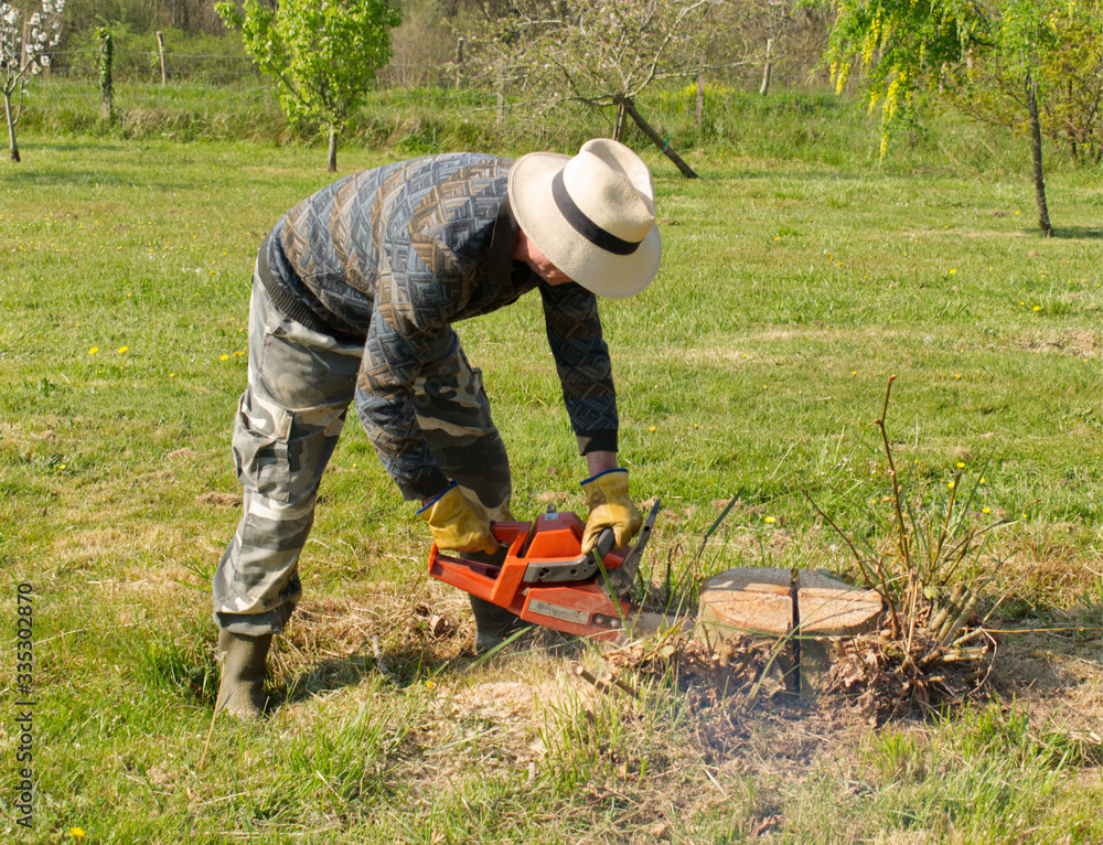 Travail de bûcheron pour ce jardinier afin de couper cet arbre et sa souche grâce à une tronçonneuse puissante et efficace Travail de bûcheron pour ce jardinier afin de couper cet arbre et sa souche grâce à une tronçonneuse puissante et efficace