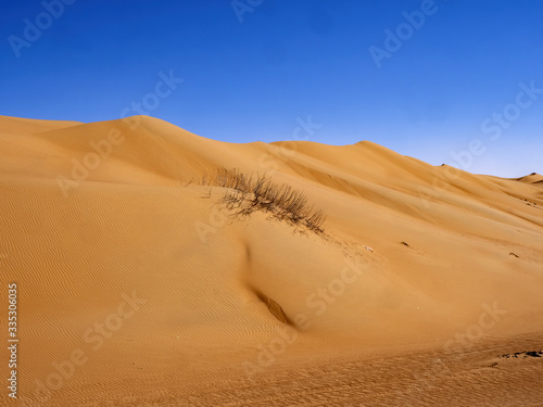The wind makes the sand of the Omani desert a beautiful formation  Oman