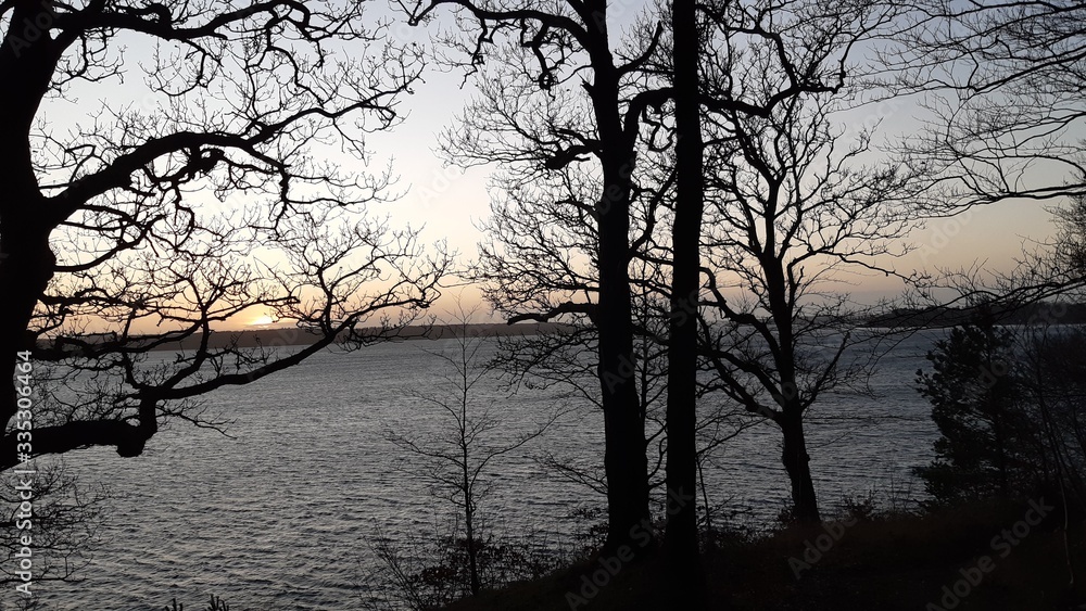 Winter evening in the forest