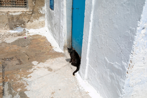 Tunisia © Chouk