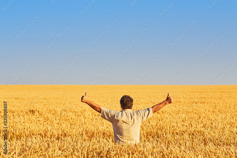 happy farmer, businessman, standing in wheat field with his hands and thumbs up happy farmer, businessman, standing in wheat field with his hands and thumbs up