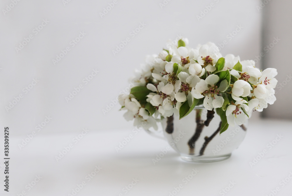 Spring composition with blooming pear branches in the house. Place for text. Front view. Spring composition with blooming pear branches in the house. Place for text. Front view.