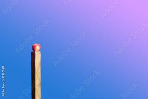 An apple is on the woden pillar. Blue sky as a background.