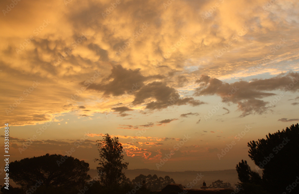 Fototapeta premium Yellow sunset