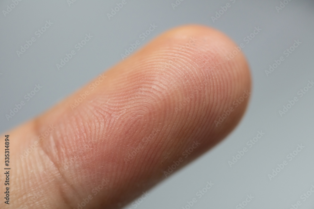 Close up fingerprint biometric identity. Close up fingerprint biometric identity.