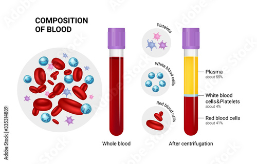 Vector diagram of blood composition. Educational illustration