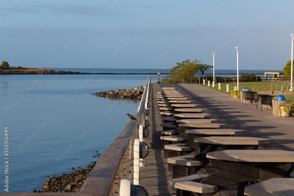 Outdoor park beside a bay with picnic tables, walkway and birds on railing, horizontal aspect
