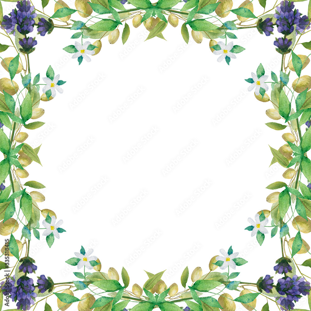Watercolor hand painted nature provence squared frame with purple lavender flower, green olive and white blossom bergamot branches on the white background for invite, greeting card with space for text