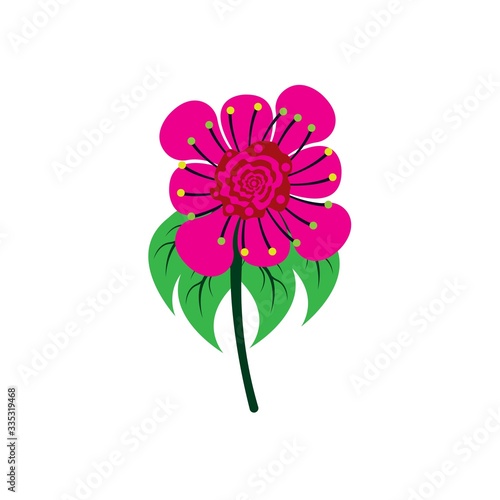 Flower Logo Design Vector Template
