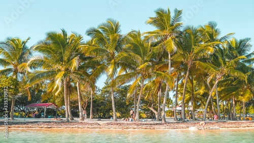 Beach in Guadeloupe 