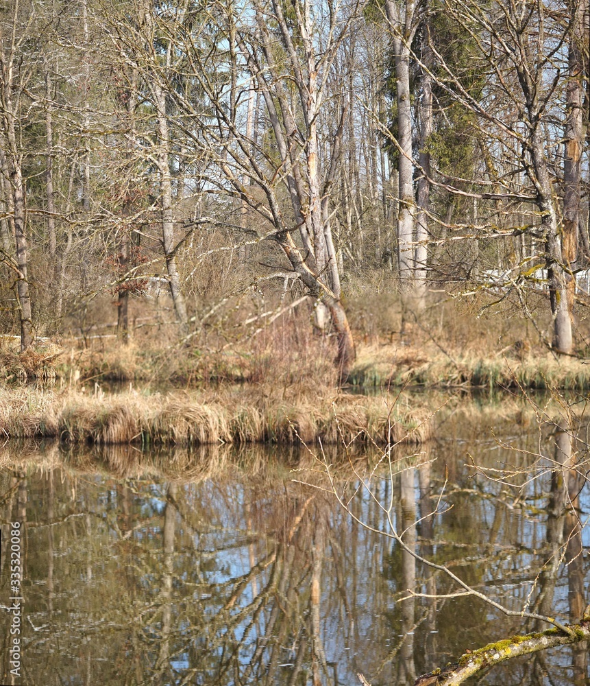 Fototapeta premium Wildes Ufer-Panorama