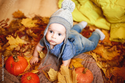 a little boy plays in the autumn leaves next to pumpkins © Aleksei Zakharov