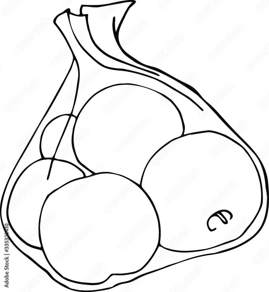 hand drawn vector illustration of an apple hand drawn vector illustration of an apple