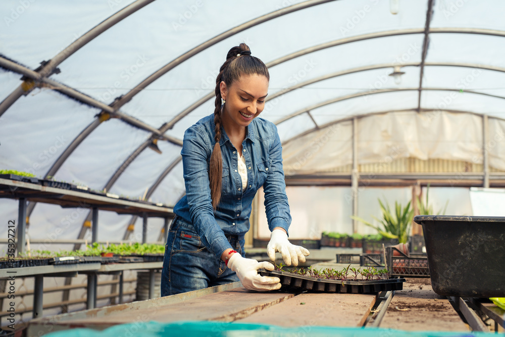 Female farmer working in large greenhouse. Organic food. Female farmer working in large greenhouse. Organic food.