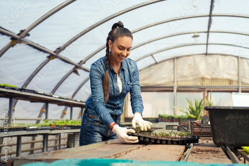 Female farmer working in large greenhouse. Organic food.