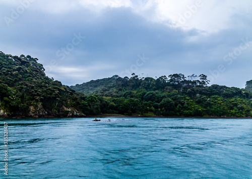 Views of the Islands from a charter boat. Bay of Islands, New Zeland © David