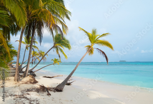 palm Islands of the remote San Blas Islands archipelago of Kuna Yala, Panama