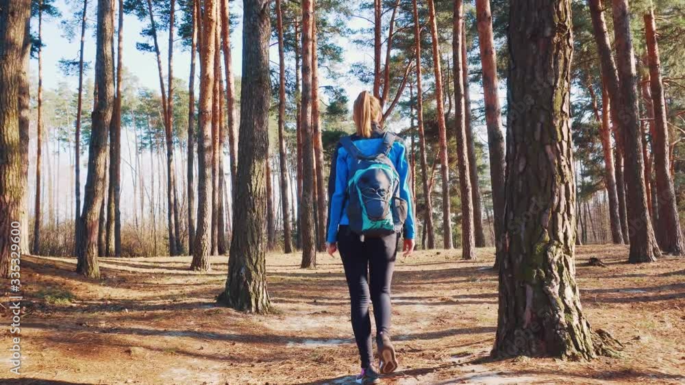 young woman walks in a spring pinewood. Spring young woman walks in a spring pinewood. Spring