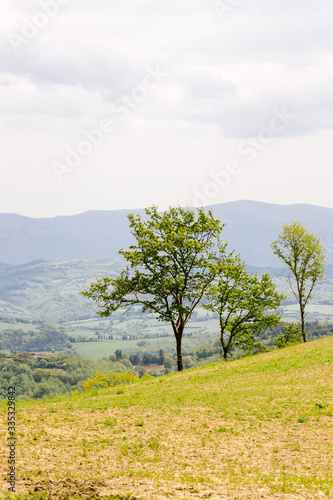 Amazing green landscape in central Italy  in Umbria between Gubbio and Assisi. Here the land is highly cultivated and there are a lot of beautiful old trees and many footpaths to walk in the nature