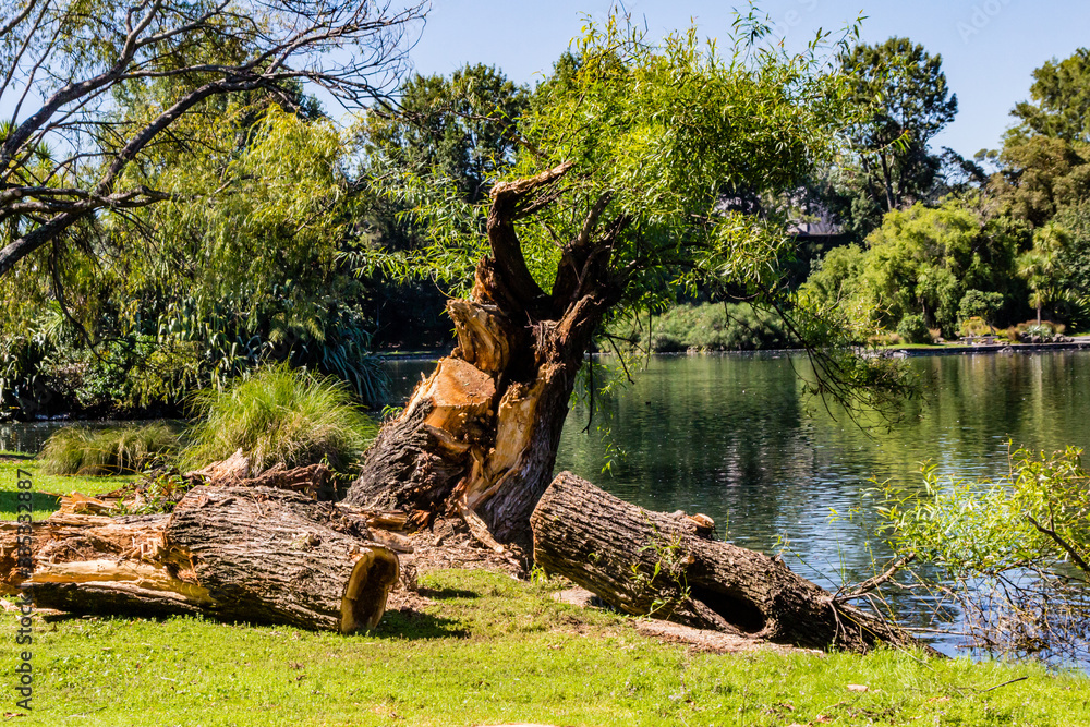 Damage caused to Western Springs Duck Pond after a storm, Auckland, New Zealand Damage caused to Western Springs Duck Pond after a storm, Auckland, New Zealand