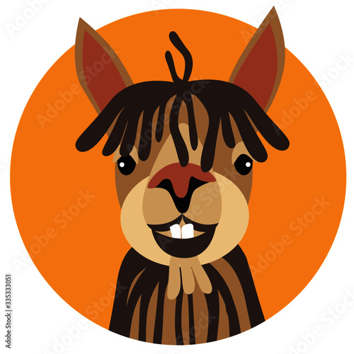 Alpaca