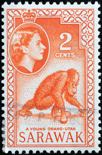 Young orang-utan on old stamp of Sarawak