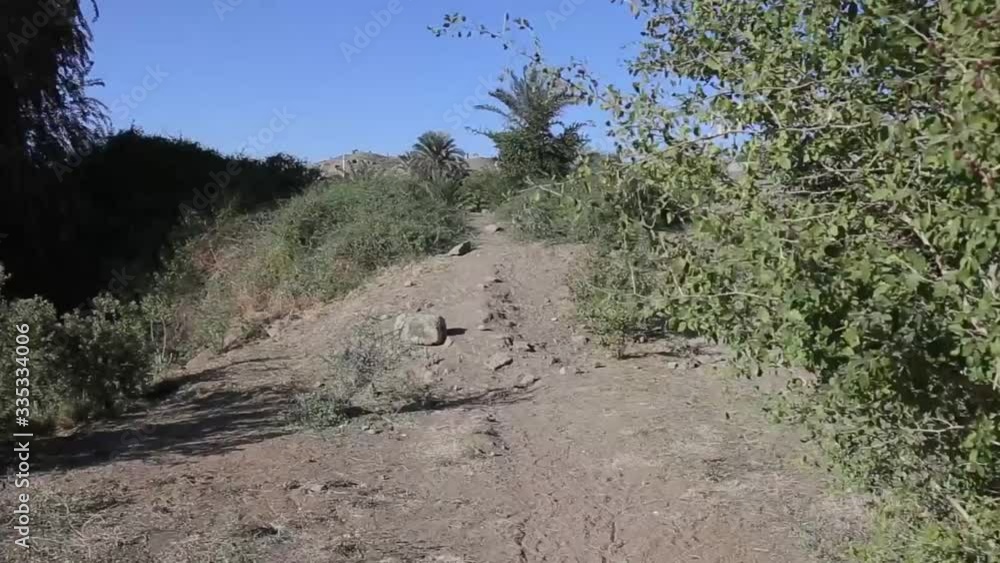 walks in the Egyptian countryside walks in the Egyptian countryside