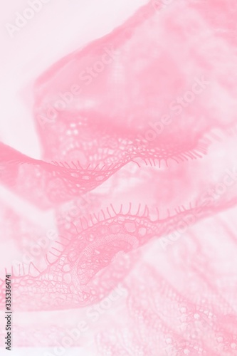 Pastel silk lace lingerie, pink color background