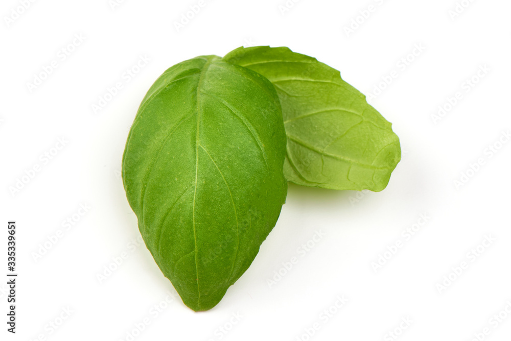 Basil leaves, fresh spice, close-up, isolated on white background Basil leaves, fresh spice, close-up, isolated on white background
