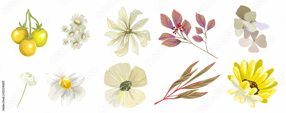 A large set of watercolor elements - wild flowers, herbs, foliage. collection of garden and wild, forest herbs, flowers, branches. The illustration is highlighted on a white background, with exotic le
