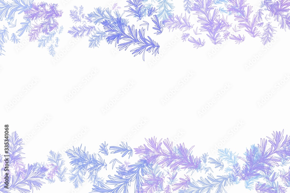 Colorful botanical frames background illustration Colorful botanical frames background illustration