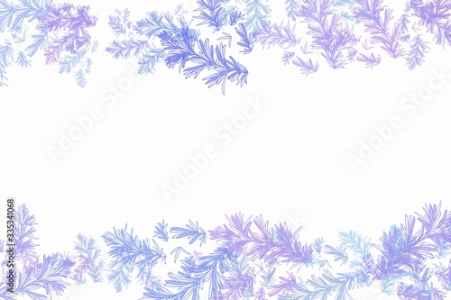 Fototapeta Naklejka Na Ścianę i Meble -  Colorful botanical frames background illustration