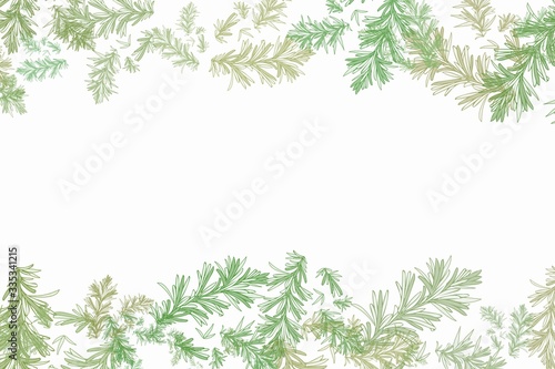 Colorful botanical frames background illustration