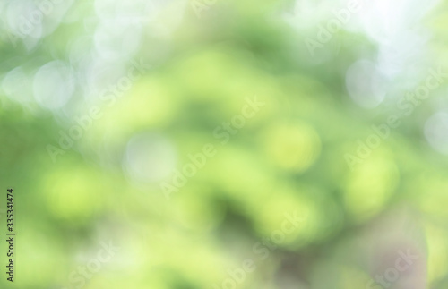 Green bokeh light nature from tree and sky background is a shiny naturally occurring shadow that is not clear but beautiful.