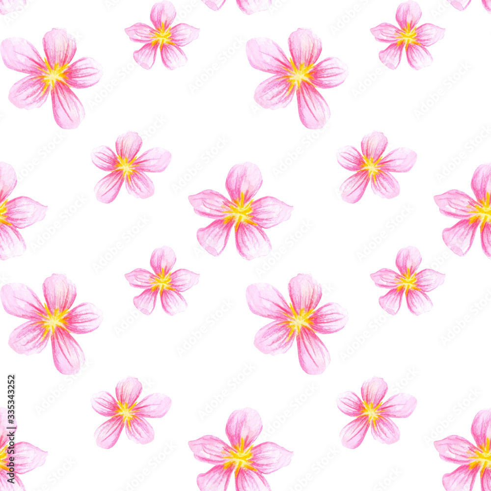 Seamless pattern with pink sakura flower 