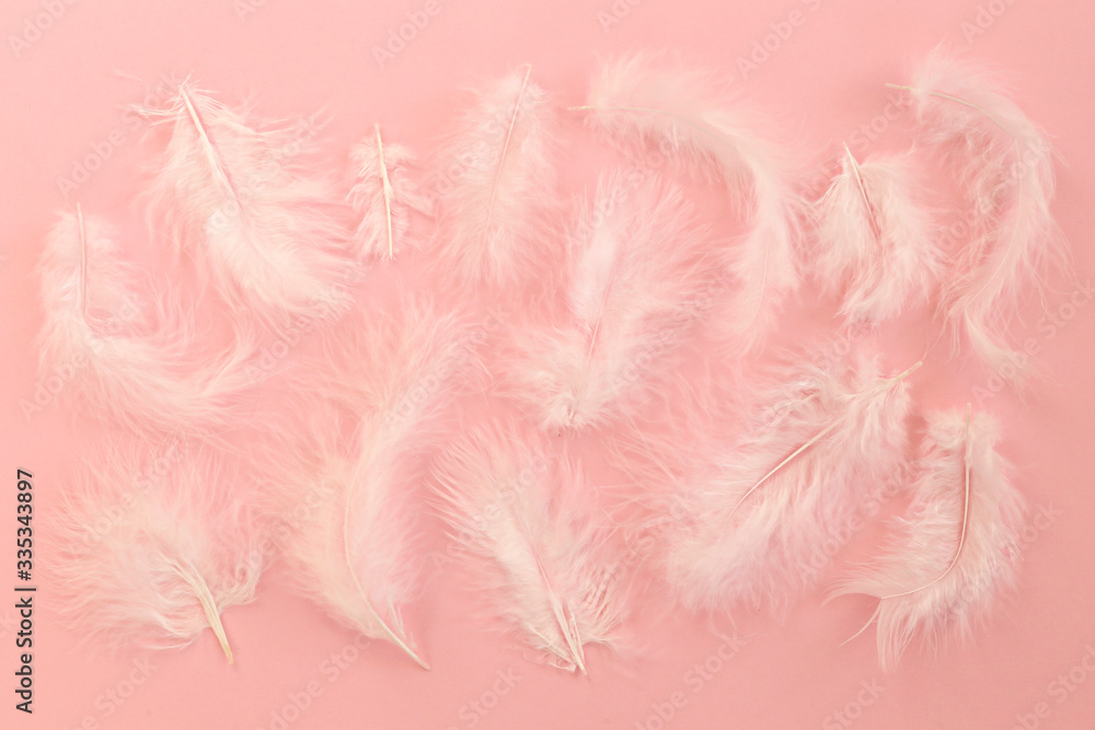 Bunch of white feathers on pastel pink paper textured background with a lot of copy space for text. Flat lay, top view.