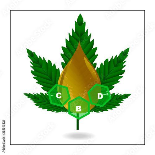 Cannabis oil or CBD oil concept vector
