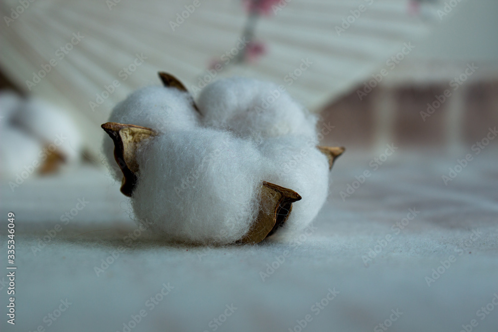 Artificial cotton flowers on a blanket Artificial cotton flowers on a blanket
