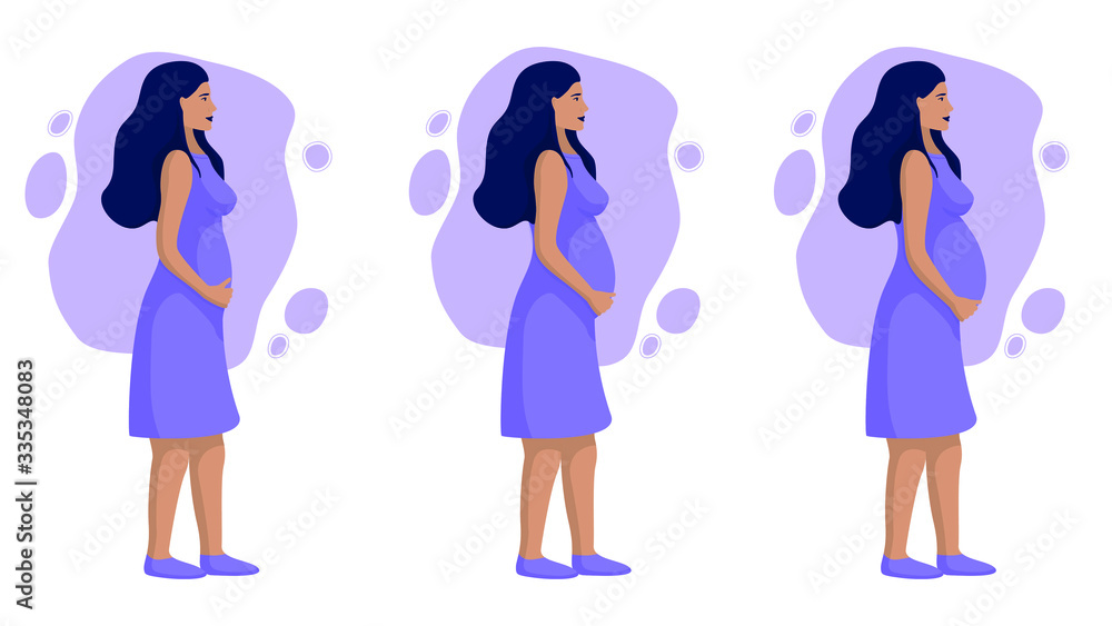 Pregnant woman in trimesters, dressed in a dress, vector illustration in purple colors Pregnant woman in trimesters, dressed in a dress, vector illustration in purple colors