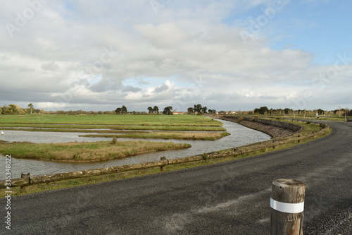 Marais breton près de Les Moustiers en Retz et ses oiseaux migrateurs en Loire Atlantique