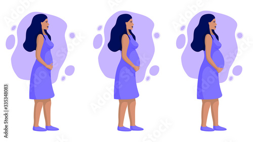 Pregnant woman in trimesters, dressed in a dress, vector illustration in purple colors