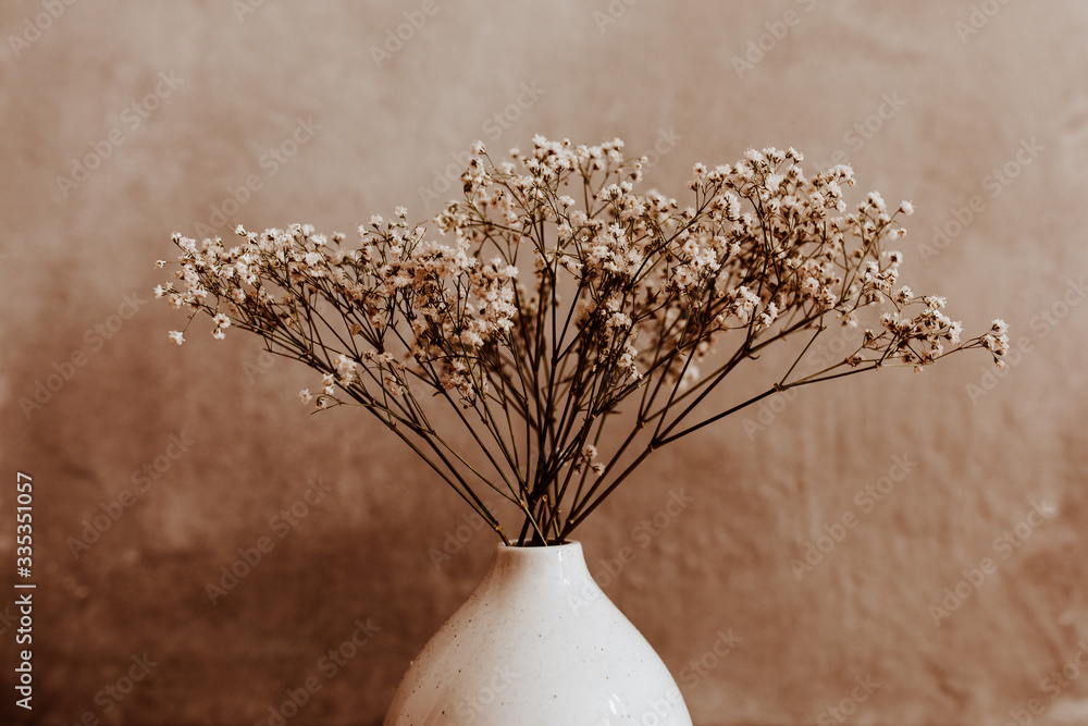 Brown wild dried flower bouquet on white background. Dried poppy