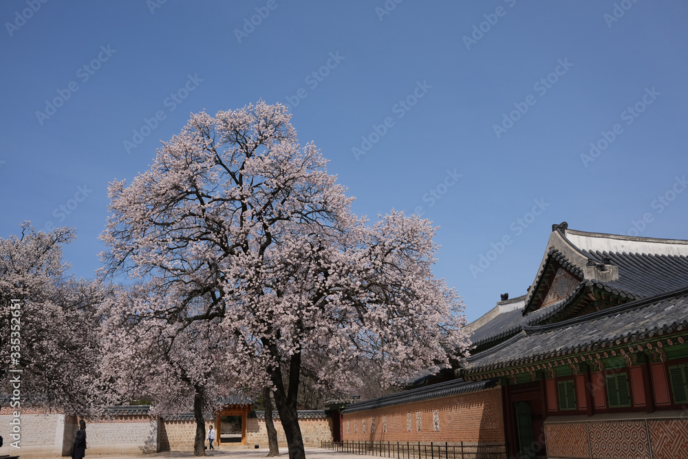 Kyeongbokgung Palace (Main Royal Palace of Joseon Dynasty) and its architectural patterns Kyeongbokgung Palace (Main Royal Palace of Joseon Dynasty) and its architectural patterns