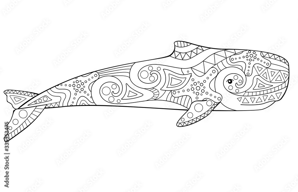 sperm whale coloring page