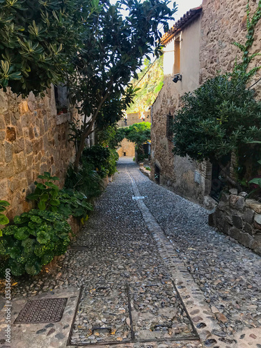 Beautiful medieval spanish empty street with many green plants with stone pavement