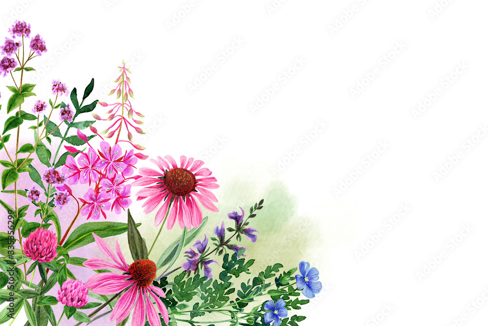 Obraz na plátně Watercolor field flowers, bright pink tints, corner frame